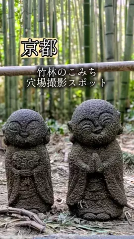 京都コンシェル❀めぐみ❀のTikTok投稿