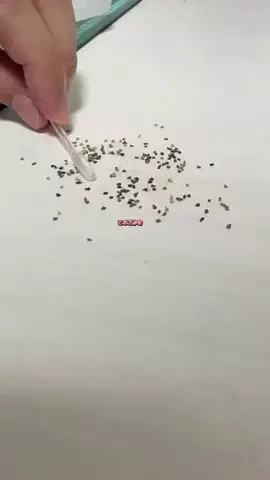 しんしんの正直レビューのTikTok投稿