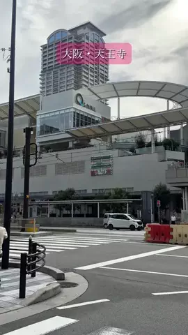 あいこパンダ🐼大阪発グルメおでかけのTikTok投稿