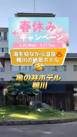 👑マルプー Binta｜ホテル旅🐻‍ 旅とご褒美🛍️のTikTok投稿