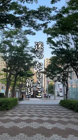 まる│新潟グルメ&カフェのTikTok投稿