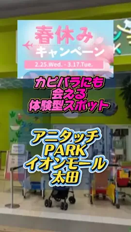 👑マルプー Binta｜ホテル旅🐻‍ 旅とご褒美🛍️のTikTok投稿