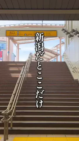 まる│新潟グルメ&カフェのTikTok投稿