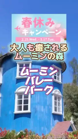 👑マルプー Binta｜ホテル旅🐻‍ 旅とご褒美🛍️のTikTok投稿