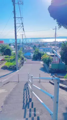 ranpisのTikTok投稿
