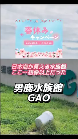👑マルプー Binta｜ホテル旅🐻‍ 旅とご褒美🛍️のTikTok投稿