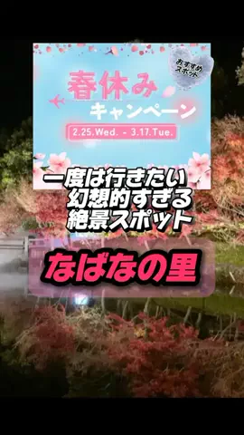 👑マルプー Binta｜ホテル旅🐻‍ 旅とご褒美🛍️のTikTok投稿