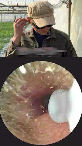 脱サラ農家兄弟🧑‍🌾のTikTok投稿