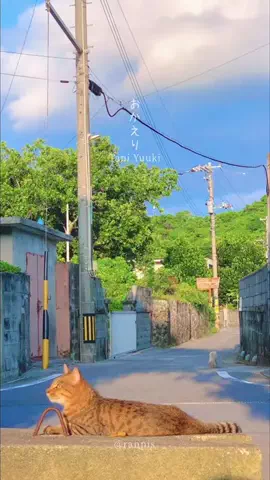 ranpisのTikTok投稿