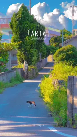 ranpisのTikTok投稿