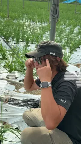 脱サラ農家兄弟🧑‍🌾のTikTok投稿
