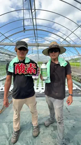 脱サラ農家兄弟🧑‍🌾のTikTok投稿
