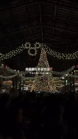 ReaのTikTok投稿