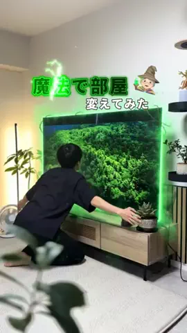 COCO | 暮らしを彩るアイデア🌿のTikTok投稿