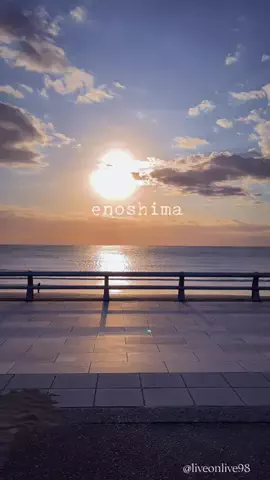 ＊hitohira＊のTikTok投稿