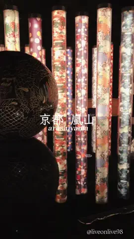 ＊hitohira＊のTikTok投稿