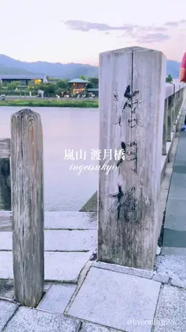 ＊hitohira＊のTikTok投稿