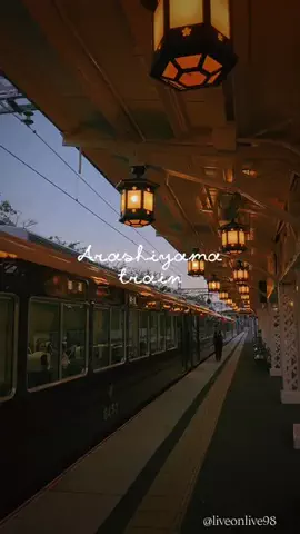 ＊hitohira＊のTikTok投稿