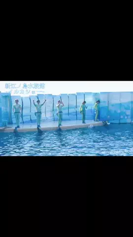 ＊hitohira＊のTikTok投稿