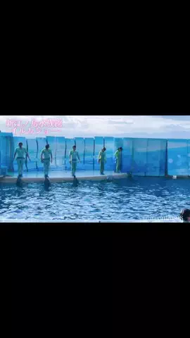 ＊hitohira＊のTikTok投稿