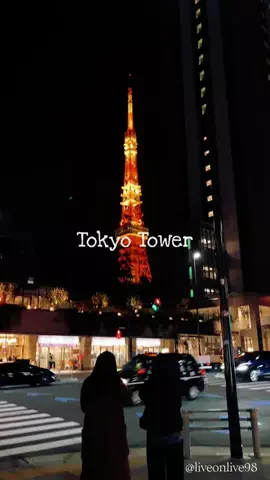 ＊hitohira＊のTikTok投稿