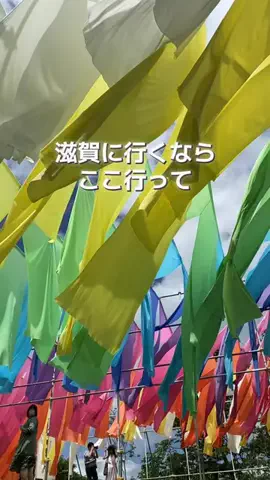 あんずの旅のしおり🌿.∘のTikTok投稿