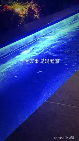 ＊hitohira＊のTikTok投稿