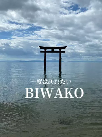 あんずの旅のしおり🌿.∘のTikTok投稿