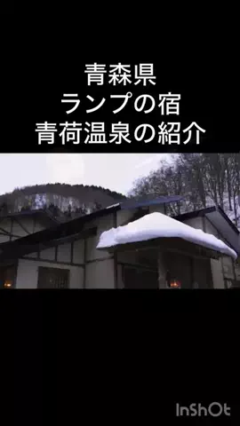 🎷🐖ブーちゃん🐖🎸のTikTok投稿