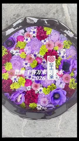 ＊hitohira＊のTikTok投稿