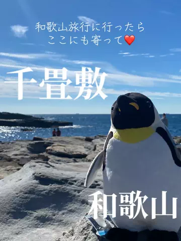 あんずの旅のしおり🌿.∘のTikTok投稿