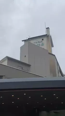 あんずの旅のしおり🌿.∘のTikTok投稿