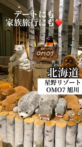 あんずの旅のしおり🌿.∘のTikTok投稿