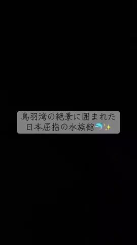 あんずの旅のしおり🌿.∘のTikTok投稿