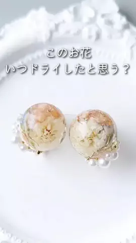 もりもとまきこのTikTok投稿