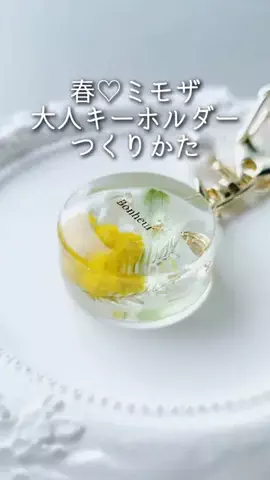 もりもとまきこのTikTok投稿