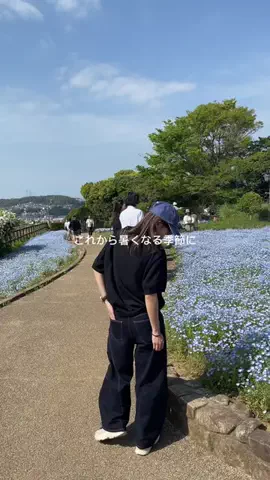たかなのTikTok投稿
