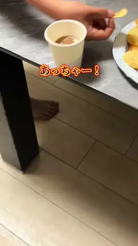 minmi.kurashiのTikTok投稿