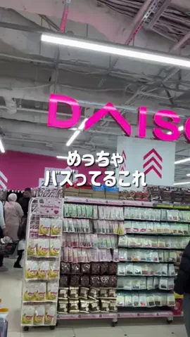 しいちゃまのTikTok投稿