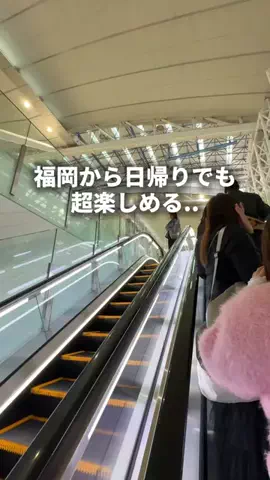 AMATO【福岡グルメ/福岡おでかけ/九州・海外旅行】のTikTok投稿