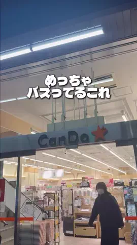 しいちゃまのTikTok投稿
