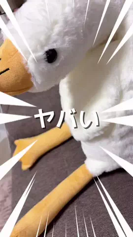 🐇かほ🏹👗cosplay&shop🛍のTikTok投稿