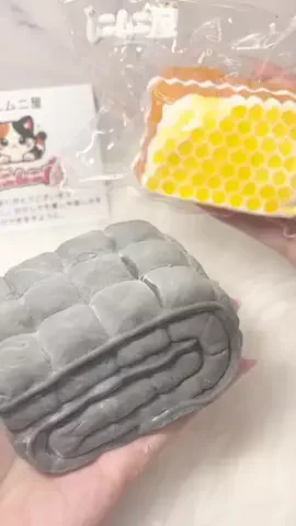 小骨ちゃんのTikTok投稿