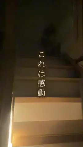 shimao_home_のTikTok投稿