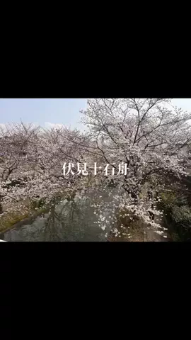 オジハナ｜大人の植物案内のTikTok投稿