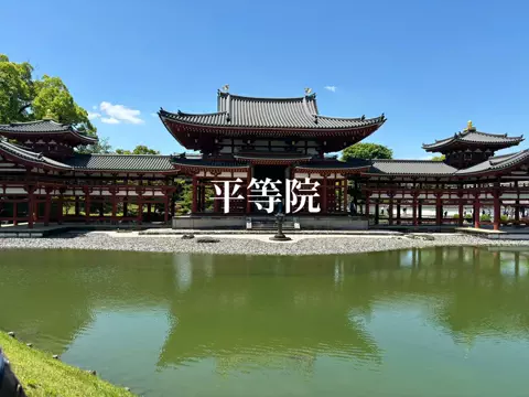 オジハナ｜大人の植物案内のTikTok投稿