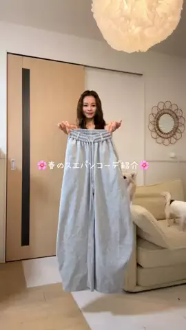 みぽのTikTok投稿