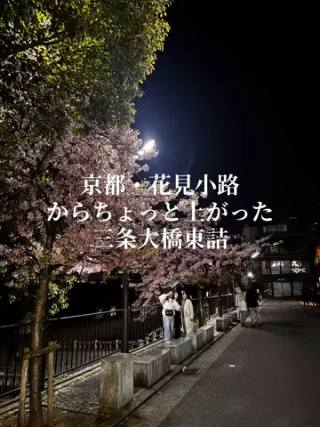オジハナ｜大人の植物案内のTikTok投稿