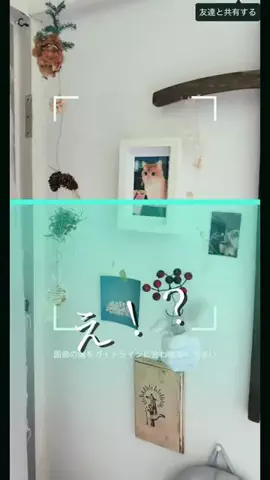肉太郎🥬🍖🥬🐈🐈‍⬛moipi's roomのTikTok投稿