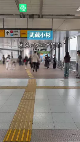 たくぽん | 川崎グルメのTikTok投稿